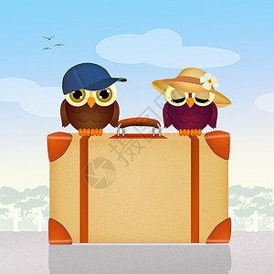 猫头鹰简笔插画手提箱上的旅行猫头鹰动物卡通片插画帽子夫妻旅游行李鸟类明信片背景