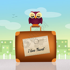 猫头鹰简笔插画手提箱上的旅行猫头鹰卡通片插画明信片行李旅游帽子动物鸟类背景