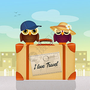猫头鹰简笔插画手提箱上的旅行猫头鹰动物明信片旅游帽子卡通片插画夫妻鸟类行李背景