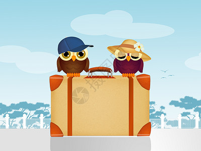 猫头鹰简笔插画手提箱上的旅行猫头鹰行李鸟类帽子旅游明信片夫妻卡通片插画动物背景