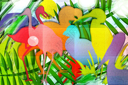 鸟热带作品绿色海报鸟类动物叶子花朵背景图片
