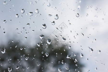 窗玻璃上的雨滴 布基树丛模糊的背角季节晴天背景屏幕衬套下雨梦幻季节性背景图片
