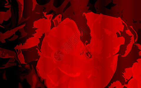 抽象的红玫瑰花纹或带空白的线条是红色植物群玫瑰花瓣背景图片