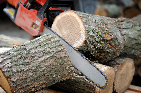 链锯技术日志木头力量男人森林安全松树刀刃樵夫背景图片