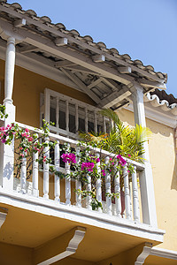 卡塔赫纳德印第亚斯的Balcony房子建筑学黄色白色花朵历史古董遗产历史性殖民背景图片