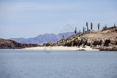 下加利福尼亚州天使湾的海 沙漠和沙滩高清图片