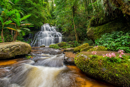 明当的瀑布下满是抗日葵花 只开在天上森林公园木头国家生长假期天堂风景热带运动背景图片