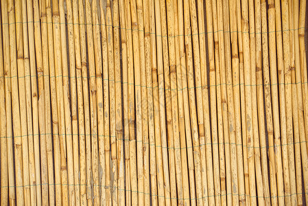 干再稻草栅栏 作为纹理或背景热带植物柳条稻草材料黄色甘蔗背景图片