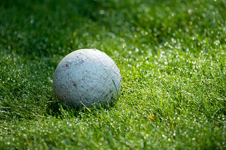 草上的球背景图片