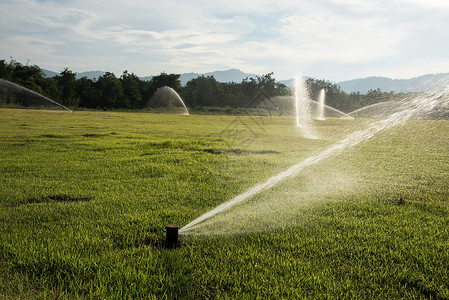 花园里的浇水植物园艺草地洒水器绿色灌溉淋浴生长院子背景