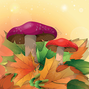 浅底红蘑菇和秋叶的淡薄背景插画