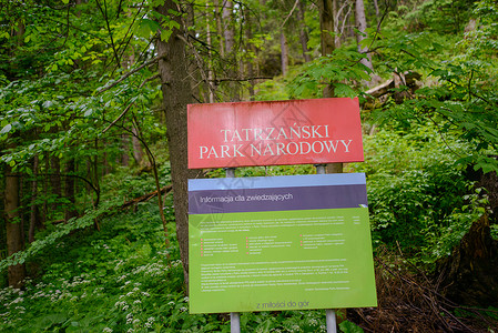 公共公园的生锈木制通知板空的高清图片素材