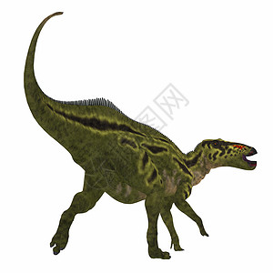 山洞龙恐龙尾背景图片