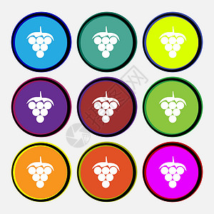 克伦生葡萄图标标志 九个多色圆形按钮 韦克托设计图片