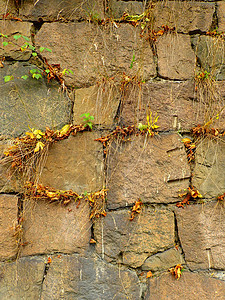 有增长的石墙石工生长过渡艺术红色绿色倾斜植物正方形长方形背景图片