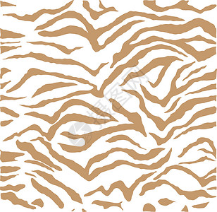 矢量 Zebra 模式皮肤正方形白色插图背景图片