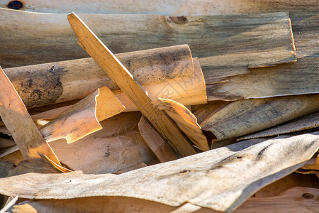 加工木材废料和木屑卷曲松树锯末生态剃须碎片遗迹花园木工芯片橡木高清图片素材