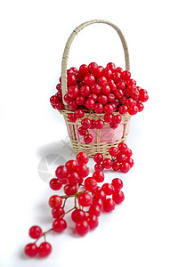 在小篮子上放红莓的生菜背景图片