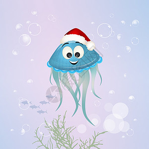 戴圣诞帽子的Jellyfish背景图片