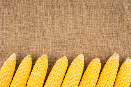 披着麻布的玉米cobs农场黄色食物粮食织物棒子生态背景图片