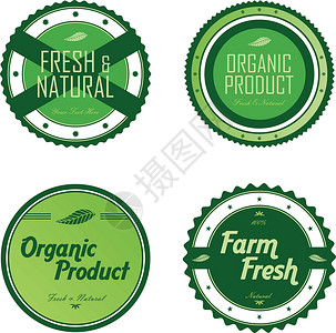 清新环保绿色主题标签 se生物产品生态市场海豹食物质量插图标识邮票背景图片