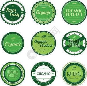 清新环保绿色主题标签 se食物产品市场邮票插图生物地球生态网络环境背景图片