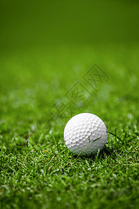 高尔夫球上场球道宏观场地绿色草地课程游戏白色运动背景图片
