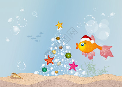 红鱼庆祝圣诞节卡通片插图海上生活橙子珊瑚黄色庆典海洋水族馆背景图片