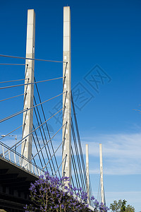 桥视图专用天空城市蓝色公交建筑学景观背景图片