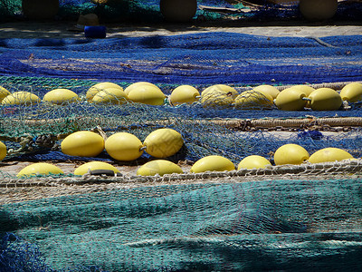 渔网网黄色蓝色钓鱼绿色背景图片