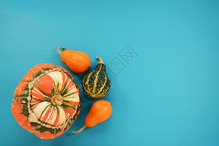 土耳其人用橙色和绿色装饰性古龟围巾壁球背景图片
