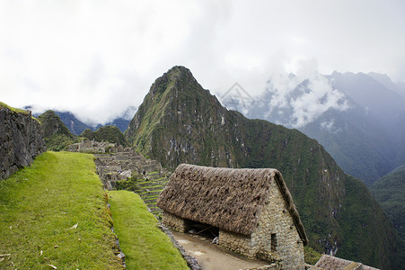 秘鲁 南美洲拉丁薄雾古庙丛林背景图片
