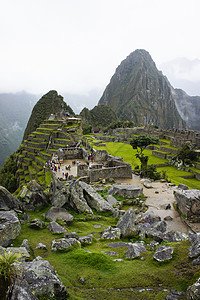 秘鲁 南美洲拉丁丛林古庙背景图片
