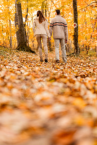 森林秋季享受阳光幸福季节叶子背景图片