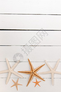 白木上的海星橙子工作室框架木头海洋星星白色风格装饰角落背景图片