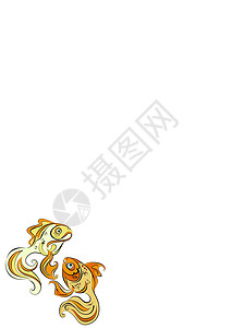 大胡鲫鱼两条程式化的金鱼在白色背景上的插图动物欲望鲫鱼淡水鲤鱼游泳大眼睛水族馆男性金子插画