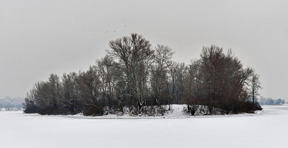 湖边的冬季雪雪景观树天气季节旅行树木建筑学森林鸟类场景人行道城市背景图片