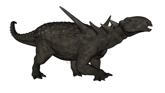 Sauropelta 恐龙  3D rende动物脊椎动物插图古艺术爬虫艺术白色草食性生物背景图片