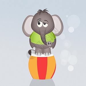 大象马戏团荒野马戏团动物展示卡通片插图娱乐闲暇哺乳动物灰色背景图片
