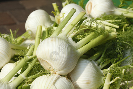 芬内市场联盟蔬菜摊位茴香食物背景图片