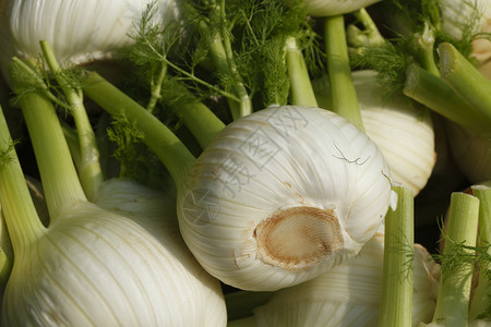 芬内蔬菜茴香摊位市场联盟食物背景图片