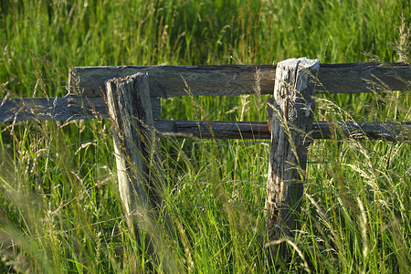栅栏围栏木板场地草地木头背景图片