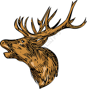 鹿嘴山庄抽屉手工红鹿驯鹿画线艺术品野生动物草图插图墨水鹿角插画