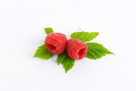 新鲜草莓食物浆果树叶红色水果背景图片