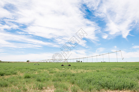 灌溉系统在润滑油田背景图片