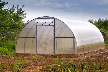 温室花园透明的绿色的高清图片