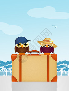 猫头鹰简笔插画手提箱上的旅行猫头鹰夫妻动物卡通片鸟类明信片行李插画旅游帽子背景