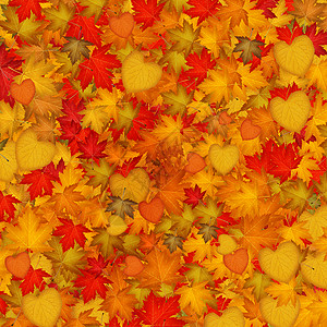 秋天的红树叶红色叶子快乐黄色闲暇季节插图背景图片