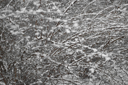 白雪混乱背景图片