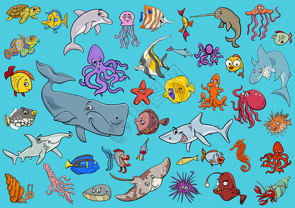 海洋生物动物卡通 se水族馆鲨鱼章鱼卡通片海上生活插图动物园海马海洋团体背景图片